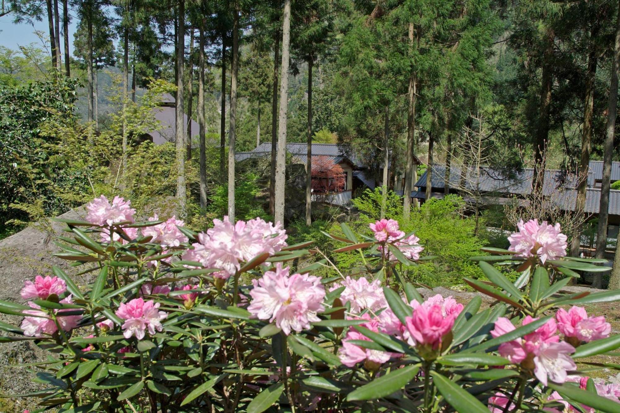 Auberge Funoki Nakatsu Buitenkant foto