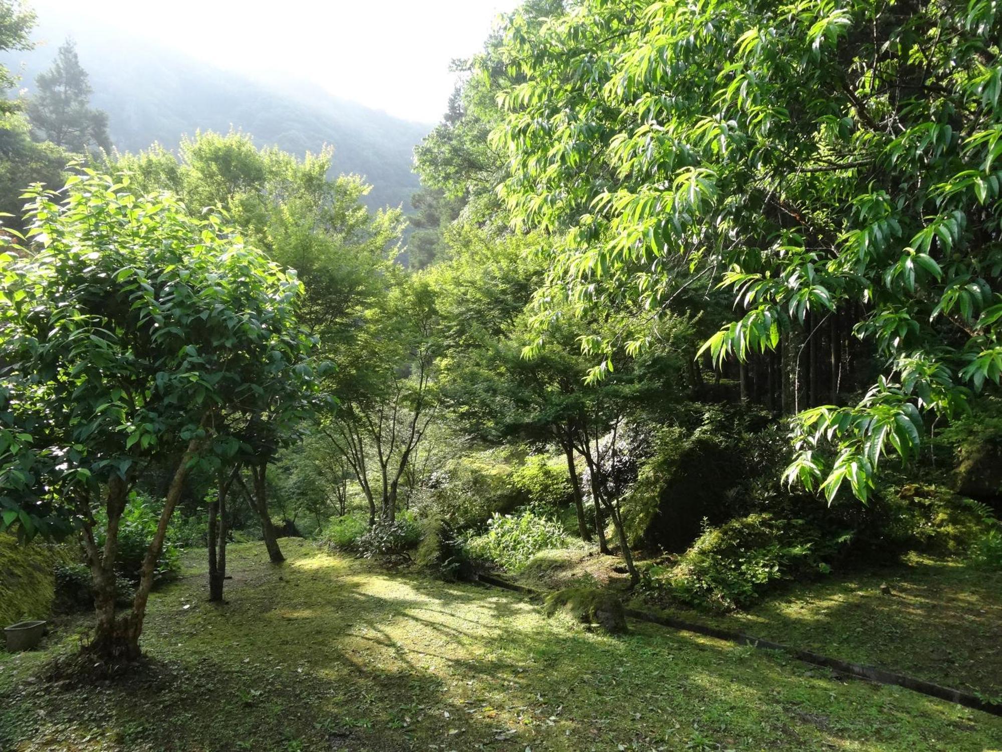 Auberge Funoki Nakatsu Buitenkant foto